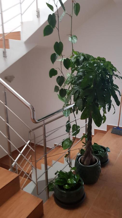 Dativo House Năvodari Eksteriør billede