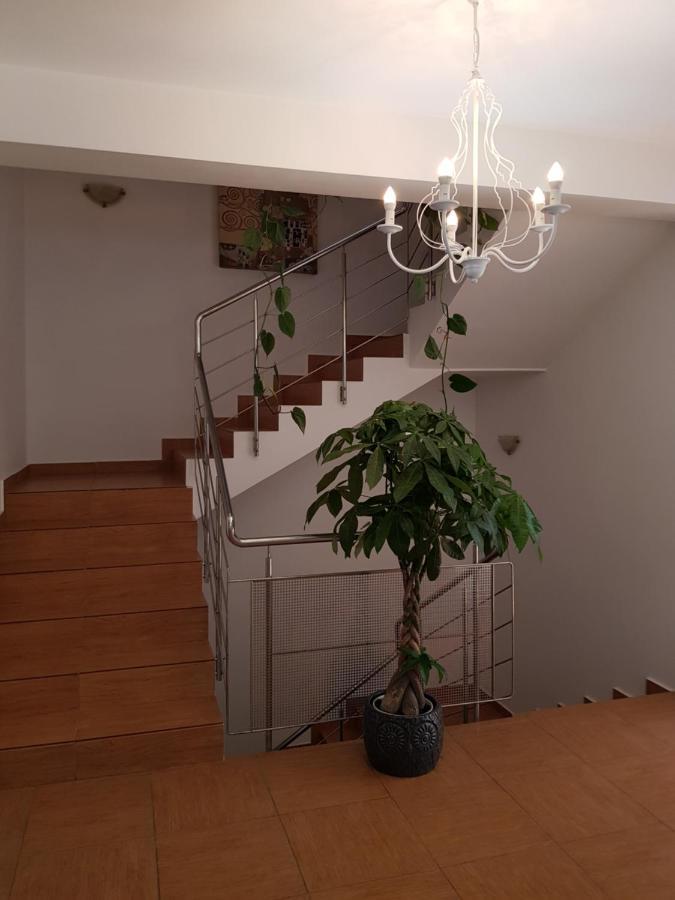 Dativo House Năvodari Eksteriør billede