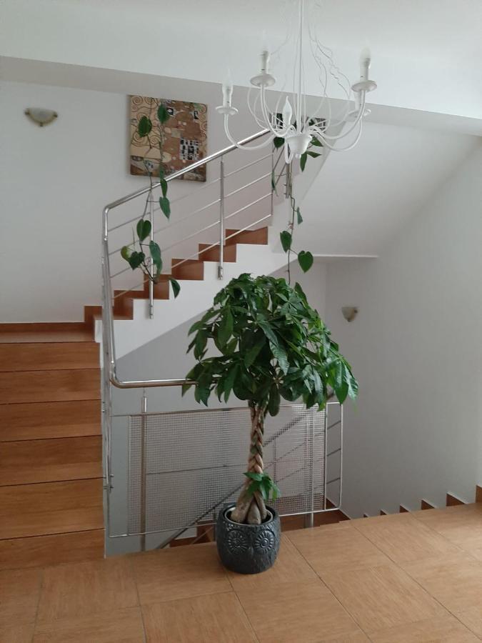 Dativo House Năvodari Eksteriør billede