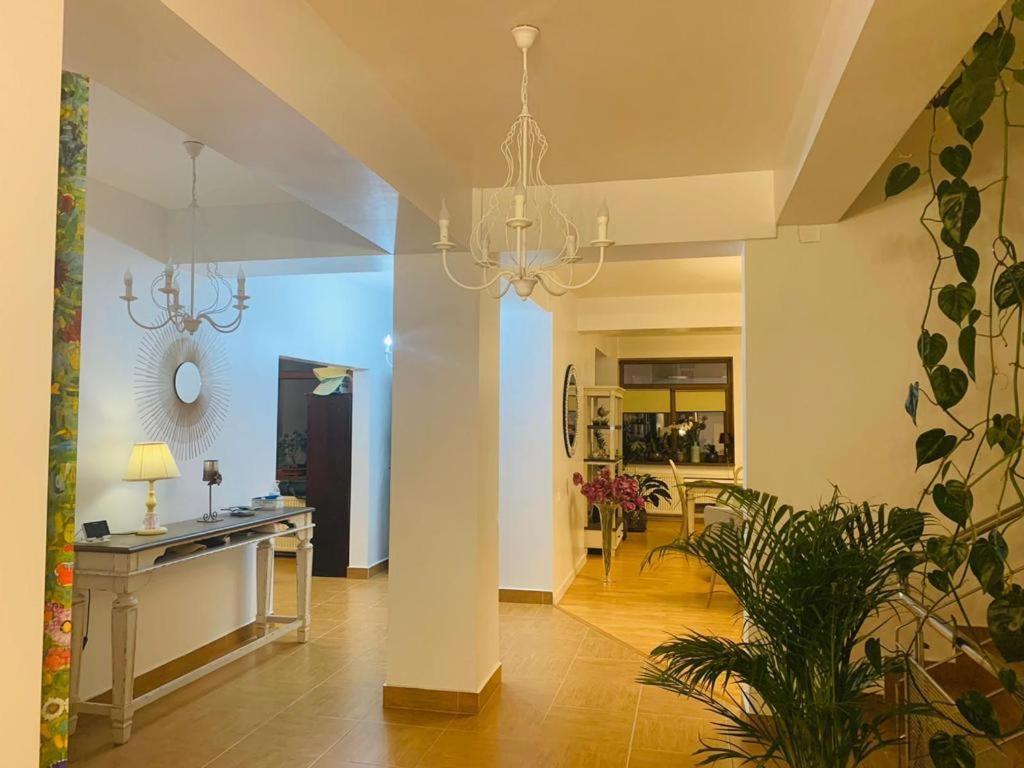 Dativo House Năvodari Eksteriør billede